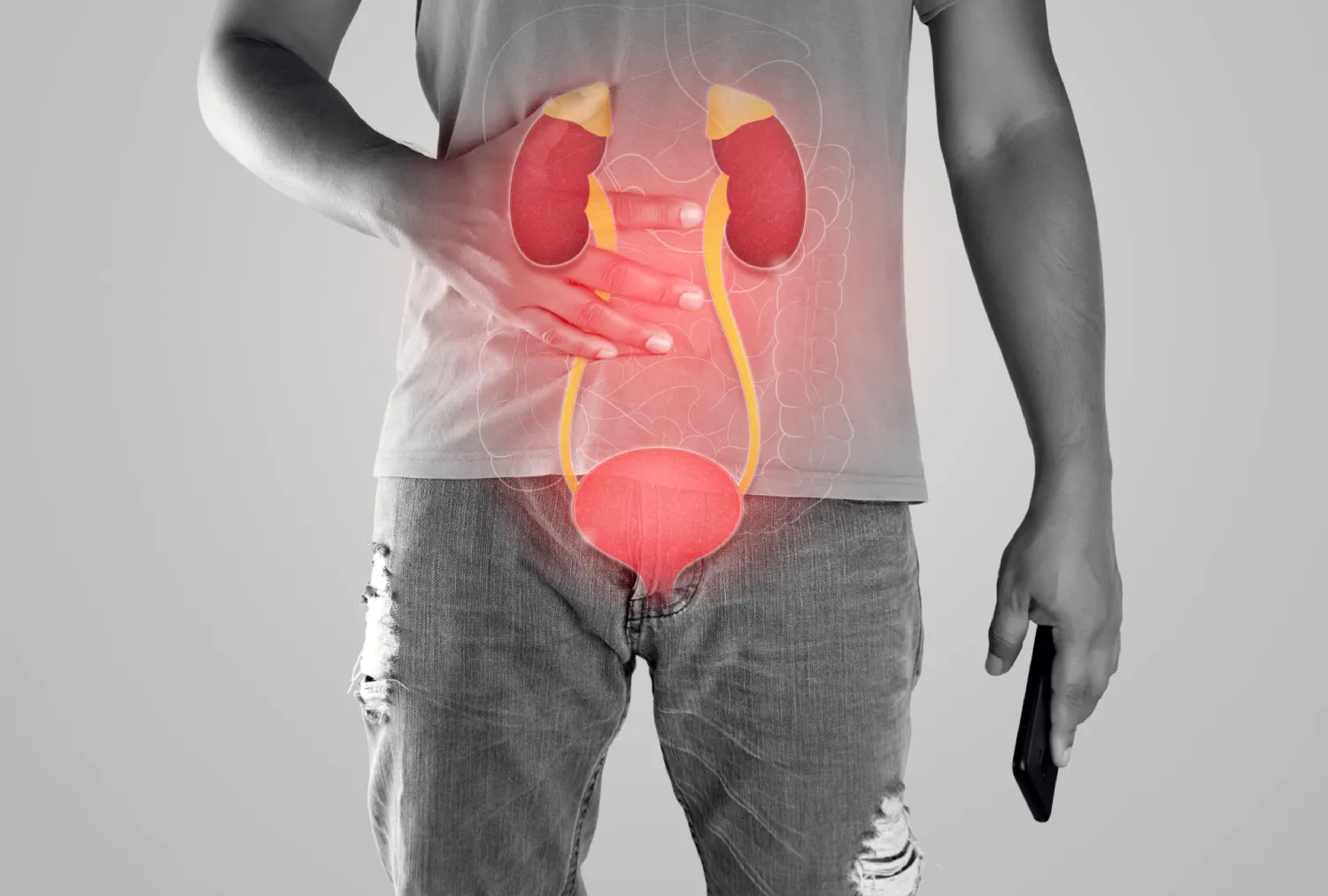 Blog Image - Urinary Tract Infections (UTIs): Causes, Symptoms and Prevention
