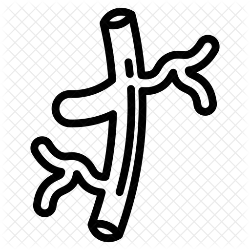 Blocked or Narrowed Arteries
